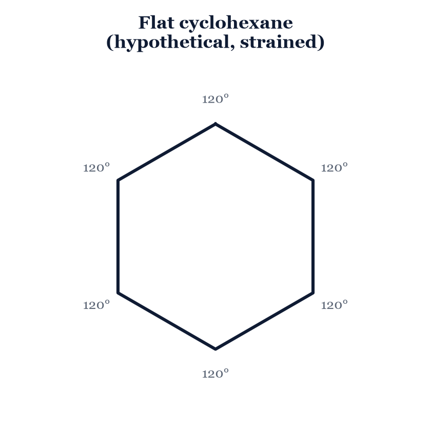 Figure 4.5. Flat cyclohexane (left) forces 120° bond angles — angle strain. ("Flat cyclohexane" — original figure for this handbook.)