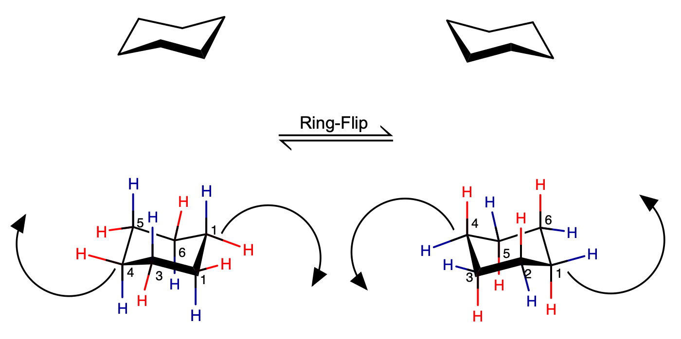 Figure 4.8. A ring flip interconverts the two chair forms: every substituent that was axial becomes equatorial, and vice versa — no bonds break, and no stereocenter's configuration changes. ("Ring flip of cyclohexane" by Naturwiki, public domain, via Wikimedia Commons.)
