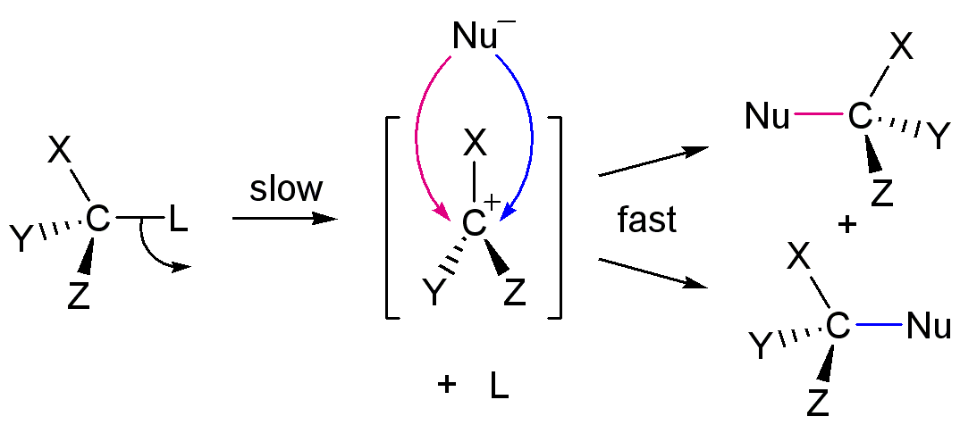Figure 7.3. SN1 mechanism: the leaving group departs first (slow step) to form a planar carbocation intermediate, which the nucleophile then attacks from either face (fast step) — producing a mixture of stereochemical outcomes. ("SN1 reaction mechanism" by Calvero, public domain, via Wikimedia Commons.)