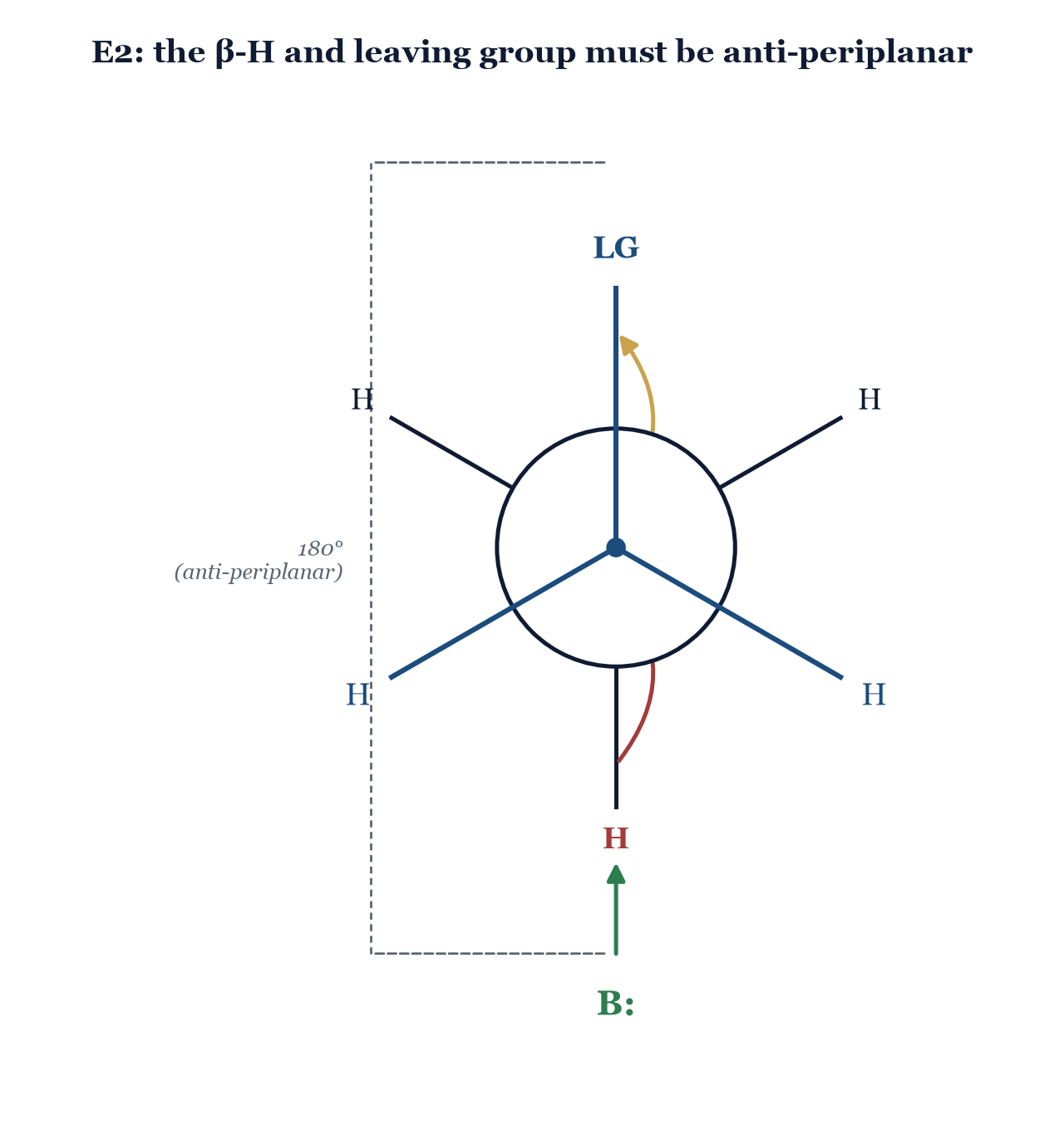 Figure 8.2. Newman projection sighting down the C–C bond: the β-hydrogen and leaving group must be anti-periplanar (180° apart) for E2 to proceed. The base removes the anti H as the leaving group departs, forming the new π bond in between.