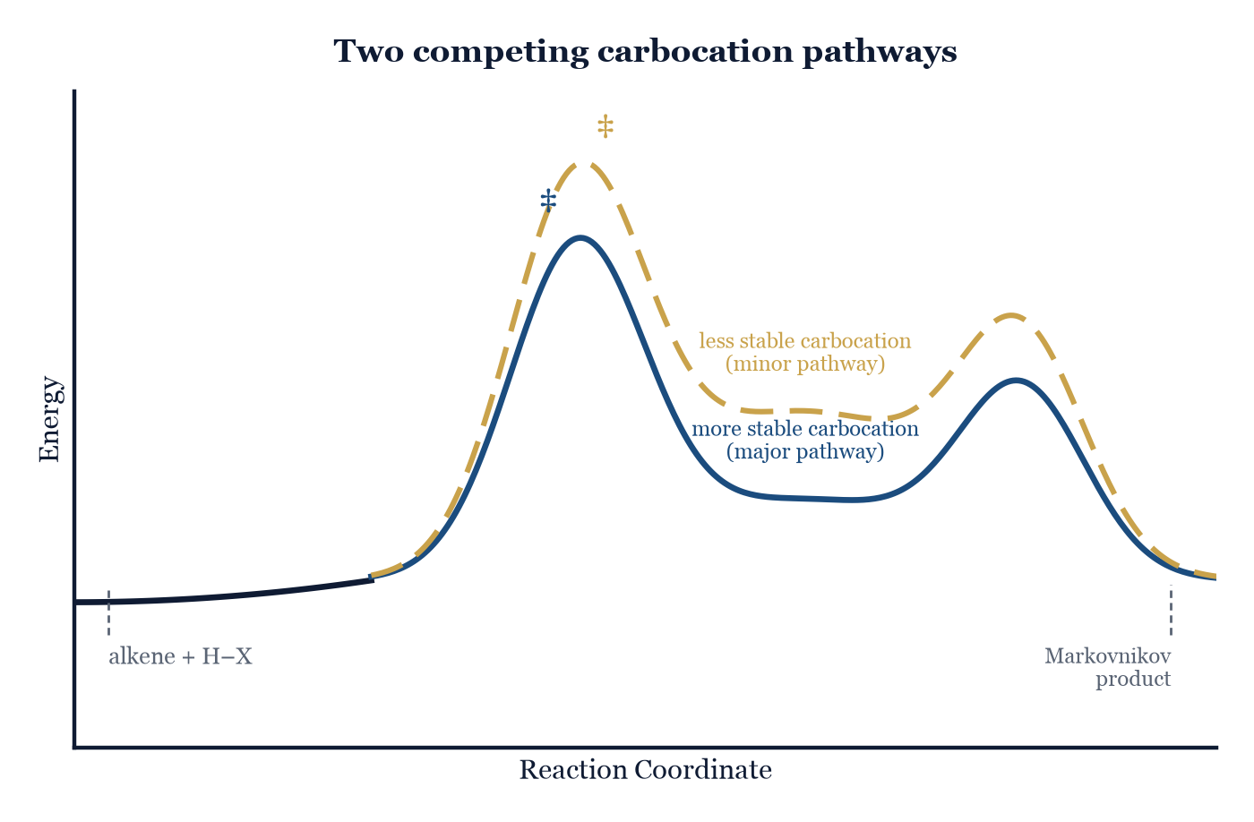 Figure 9.1. The two possible carbocation intermediates compete: the pathway through the more-substituted (more stable) carbocation has the lower-energy transition state and dominates, which is why Markovnikov's rule holds.