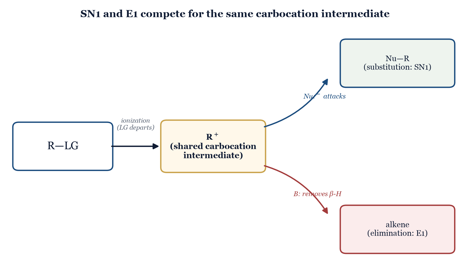 Figure 10.1. SN1 and E1 arise from the same carbocation intermediate: once the leaving group departs, a nucleophile can attack (substitution) or a base can remove a β-hydrogen (elimination) — the two pathways compete rather than occurring in isolation.