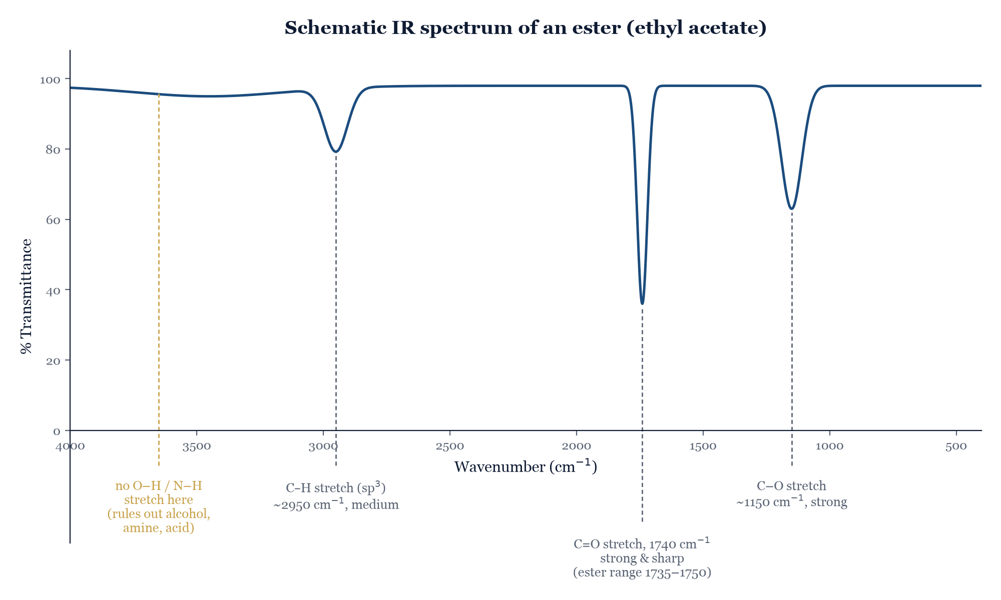 Figure 18.1. A schematic IR spectrum of an ester (ethyl acetate), showing the diagnostic C=O and C–O stretches, the ordinary C–H stretch, and — just as informative — the absence of any O–H or N–H stretch, which rules out alcohols, amines, and acids.