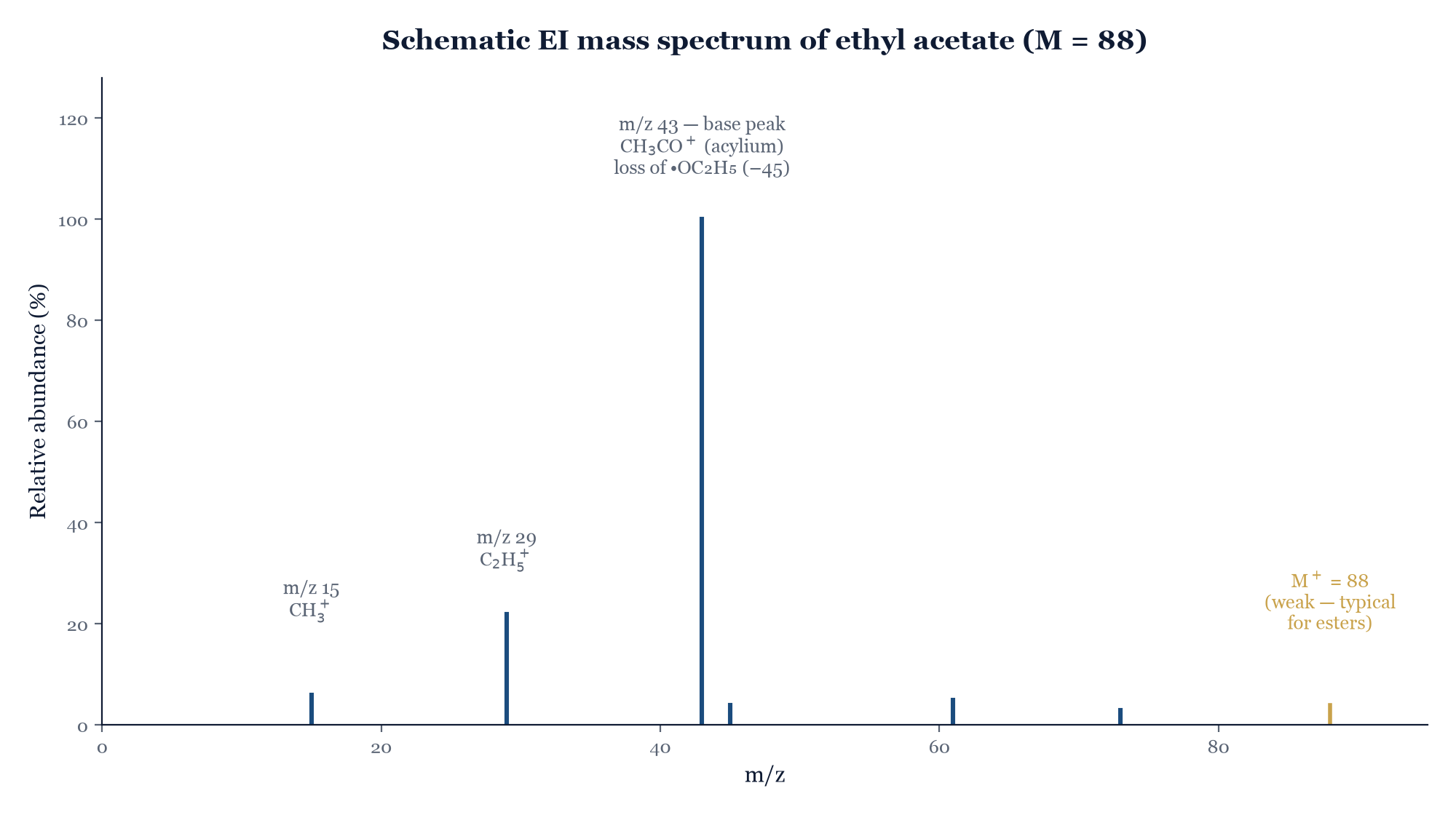 Figure 20.1. A schematic mass spectrum of ethyl acetate: the weak molecular ion (M⁺ = 88) anchors the molecular weight, while the base peak at m/z 43 (the acylium ion CH₃CO⁺, from loss of •OC₂H₅) and the peak at m/z 29 (C₂H₅⁺) are exactly the fragment losses catalogued in Appendix D.
